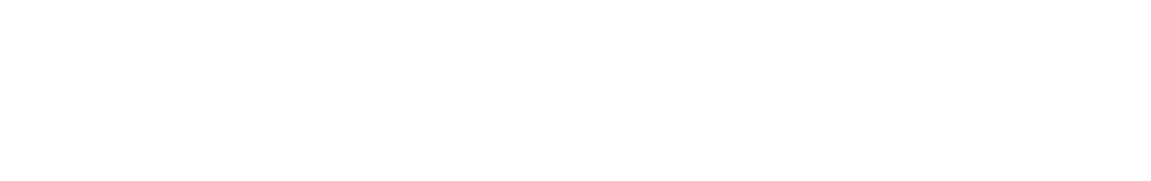 ljósleiðarinn logo